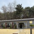 로드 572 | 팔공산벚꽃시즌 갈비찜 맛집추천 동인정갈비찜 솔직 후기(치즈갈비찜 강추)