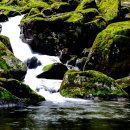 구암농장 이미지