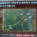 금강송민박 티스토리