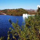 명덕호수공원 이미지