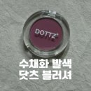 팝코스메틱 | 수채화 발색 닷츠 블러셔 컬러 치크팝 커맨드 블러셔 블럼 로즈블러 솔직후기