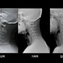 닥터오케이의원 이미지