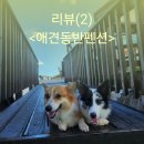 터 펜션 | (강아지 동반 펜션)인천 강화 터펜션 2번째 방문 후기《협찬 아님》