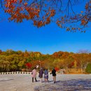 만추