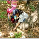 삼정초등학교 이미지