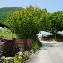 하향마을회관 이미지