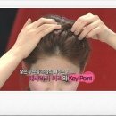 해바라기 헤어라인 이미지