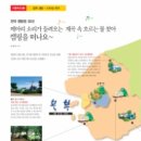 메아리 캠핑장 이미지