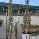 블루엔젤 하우스 이미지