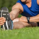 바로피트니스 이미지