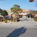 진원면사무소 이미지