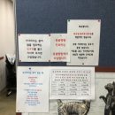 최우식동물병원 이미지