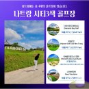 대성골프클럽 | 나랑같이 나트랑골프여행 갈래?