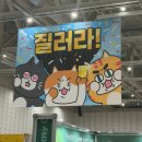 2026년 대전 궁디팡팡 캣페스타 후기 | 캣페어 다녀온 고양이 집사의 솔직 쇼핑 리뷰