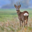 버섯생농장 이미지