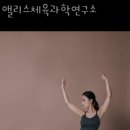 앨리스연구소