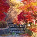 봉학골산림욕장 이미지