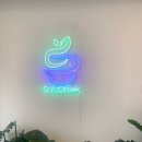 샐러그릭 이미지