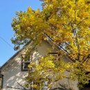 트리하우스민박 이미지