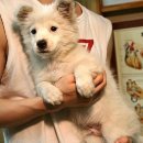 금광동물병원 이미지