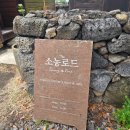 소농농장 | 제주도 동쪽 카페) 유명한 구좌 당근으로 만든 인생 당근케이크 카페 "소농로드"