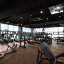 피트니스 프렌즈 이미지