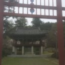 새암장여관 Daum카페