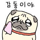 셔플댄스(오전) 이미지