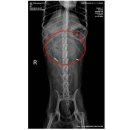 모아동물병원 이미지