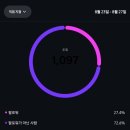 킹스타 | 인스타 팔로워 구매는 킹스타그램, 실제 사용 후기 공개