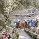 양현로 | 분당결혼식장 추천 ｜ 더 바실리움 단독홀부터 연회장까지 솔직 후기