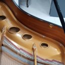 이화상회 이미지