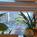 닥터차한의원 이미지