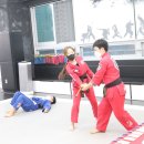 MVP합기도 이미지