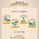 하루더다이브