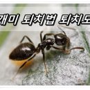 개미떡방앗간 - 수원시 권선구 덕영대로1106번길 64 | 개미떡방앗간