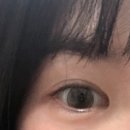 안경사랑신정점.위드렌즈 이미지