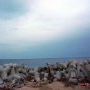 씨사이드모텔(시사이드모텔) 이미지