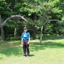 파주삼릉 이미지