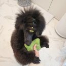 개스트살롱 이미지