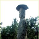 순천-44호 이미지