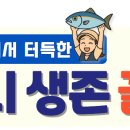 동삼하리항 이미지