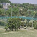 파인빌 파3골프장 이미지