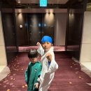 그랜드하얏트제주 | 제주 그랜드 하얏트 수영장 후기 ｜아이랑 가기 좋은 호텔