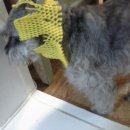 뽑기만세 이미지