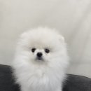 오멍누 이미지