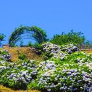 진성민박 이미지