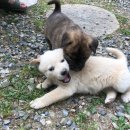 경성민박 이미지