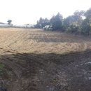 가시보건진료소 이미지