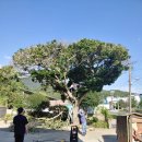 익산동산교회 이미지